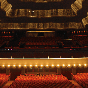 The German Connection